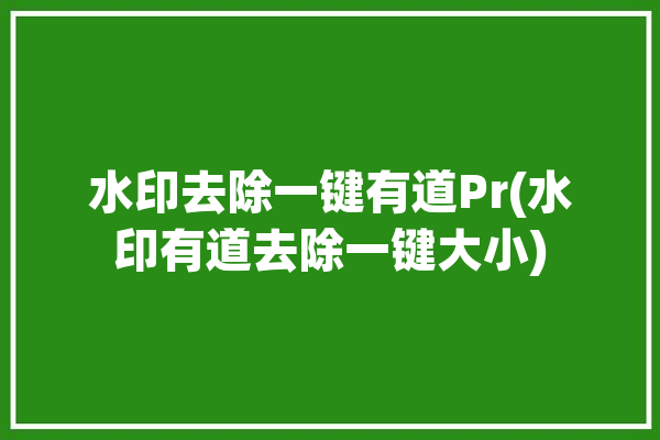 水印去除一键有道Pr(水印有道去除一键大小)「去水印 pr」