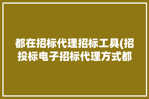 都在招标代理招标工具(招投标电子招标代理方式都在)「招标代理电子标流程」