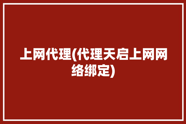 上网代理(代理天启上网网络绑定)