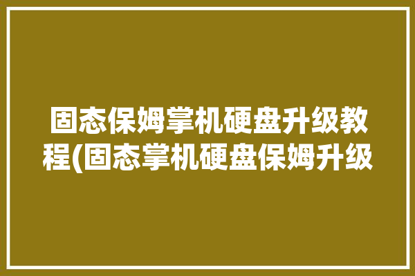 固态保姆掌机硬盘升级教程(固态掌机硬盘保姆升级)「游戏机固态硬盘」