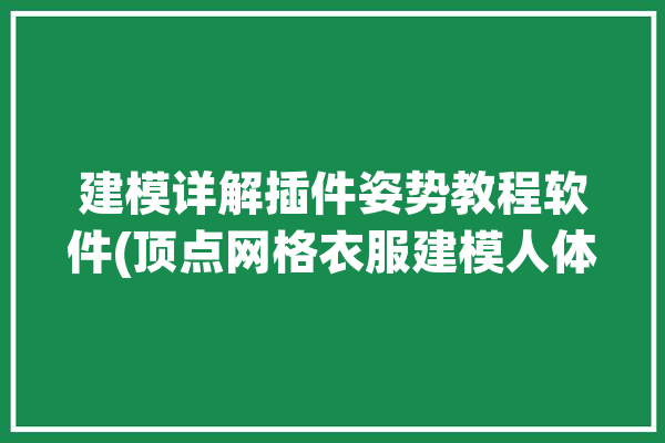 建模详解插件姿势教程软件(顶点网格衣服建模人体)「建模身体布线」