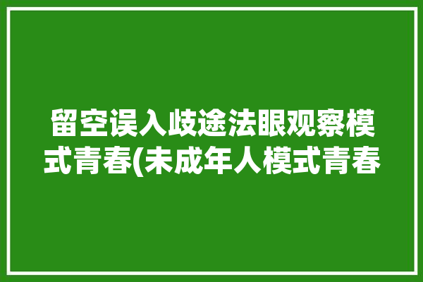 留空误入歧途法眼观察模式青春(未成年人模式青春不正当竞争网络)