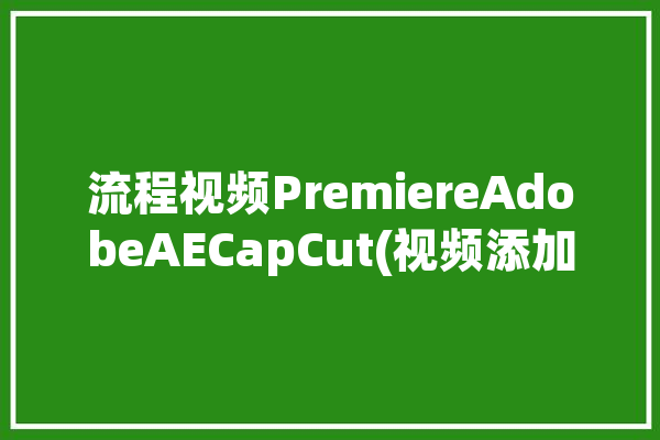 流程视频PremiereAdobeAECapCut(视频添加选择剪辑设置)「pr剪辑流程图」