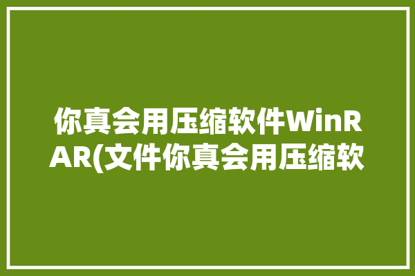 你真会用压缩软件WinRAR(文件你真会用压缩软件压缩)「压缩软件winrar怎么用」