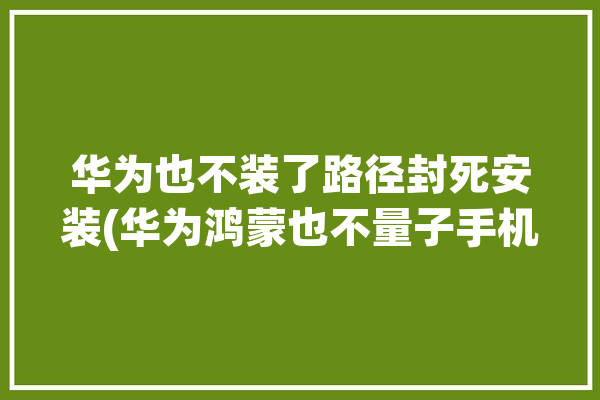 华为也不装了路径封死安装(华为鸿蒙也不量子手机)