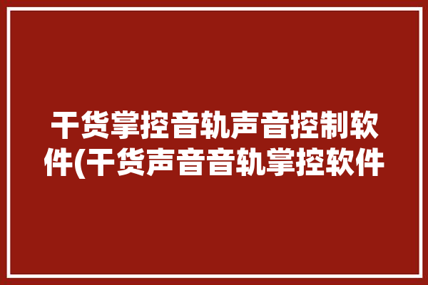 干货掌控音轨声音控制软件(干货声音音轨掌控软件)「音频控制app」