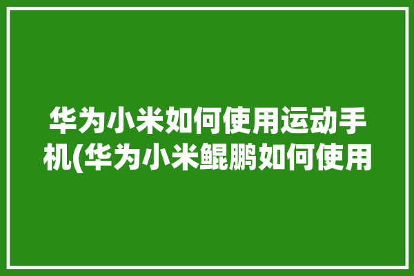 华为小米如何使用运动手机(华为小米鲲鹏如何使用手机)