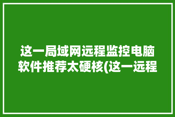 这一局域网远程监控电脑软件推荐太硬核(这一远程监控局域网电脑软件屏幕)