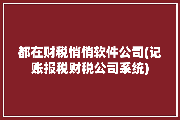 都在财税悄悄软件公司(记账报税财税公司系统)