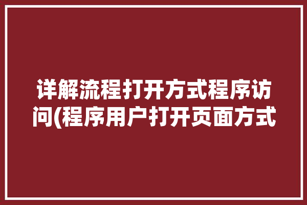 详解流程打开方式程序访问(程序用户打开页面方式)「程序的打开方式」