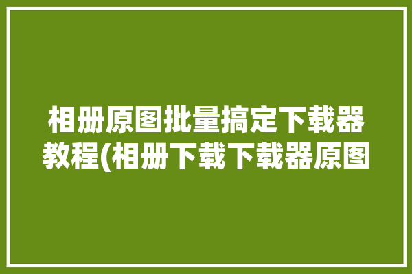 相册原图批量搞定下载器教程(相册下载下载器原图批量)「相册怎么批量下载原图」