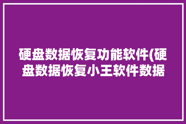 硬盘数据恢复功能软件(硬盘数据恢复小王软件数据您的)「硬盘数据恢复软件有哪些」