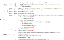 如何使用入门协议平台MQTTTlink(报文报头负载字节长度)
