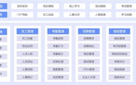 高效管理软件利器团队人事(管理软件人事员工高效功能)