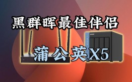 公网云端搞定无需访问资源(蒲公英成员访问公网组网)