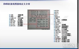 接线资料库实战威驰沃德定义(协议资料库全景定义威驰)