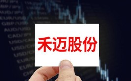 禾迈股份：公司拟回购不高出108.11万股公司股份「禾迈股份 招股说明书」