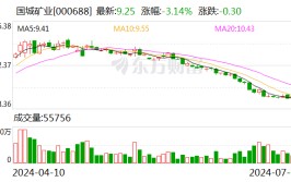 国城矿业向下修正可转债转股代价
至12.60元/股