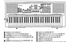 电子琴使用方法日常(电子琴天堂鸟使用方法日常乐器)