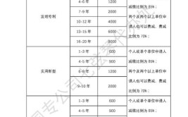 年费专利(年费专利到期日专利局专利权)