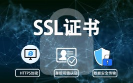 自动更新流程证书工具westsslSSL(证书自动更新域名工具数码)