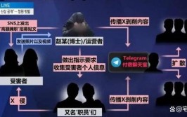 最火聊天软件禁止经历了政府Telegram(用户加密封杀恐怖分子平台)