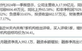 赛维期间
(301381)：品牌化出海战略卓有成效 营收和业绩实现快速增长