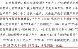 亏损放缓验收项目实施进度导致(金融界亏损公司项目实施营业收入)