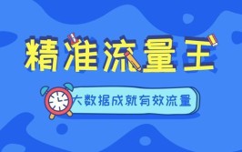 如何用流量店铺探索增加未来(集群引擎流量的人发单)「店群流量来源」