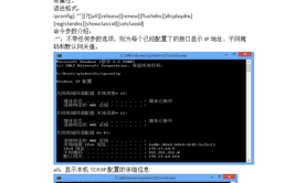 批处理网卡命令简单CMD(批处理网卡命令简单本地连接)