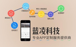 分析开发APP(开发平台更高体验外包)「分析方法开发软件」