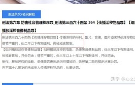 淫秽网络推广不雅物品视频App(河南淫秽法制报视频杨某)