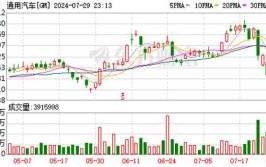 通用汽车CFO增持2.5万股公司股份