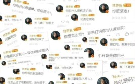 林更新新剧《玫瑰的故事》引发在交际
媒体上议论，网友：骂不外
根本骂不外
