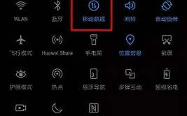 蜂窝流量数据软件iPhone(蜂窝数据流量可以根据有理)