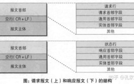 接口TunTap(接口报文程序内核数据)