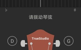 调音吉他软件好用新手推荐(调音吉他软件新手程序)「调音软件吉他app」