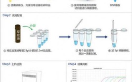 科学实验生命PCR(引物模板浓度温度混合物)「生物pcr技术引物是什么」