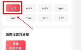 让你这三音频格式轻松软件(让你软件音频格式这三格式转换)