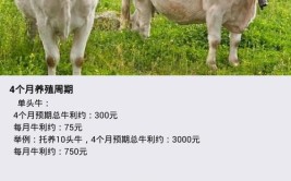 生鲜牛肉新鲜商城软件系统APP(牛肉肉牛新鲜生鲜商城)