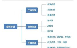 定义SaaS(价值客户感知认知都是)