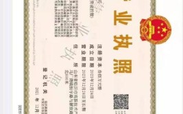 印章郑州实物政务担心电子(印章电子营业执照郑州市纸质)