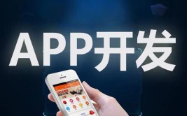 制作开发手机软件app(软件开发制作手机客户)