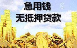 贷款福建金融机构剑指出手中介(贷款短信机构管理部门金融)