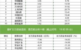 最多买入个股主力资金名单(科技股份银行最多主力)