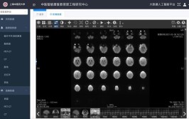 神技样机大法PPT(神技样机大法截图效果)