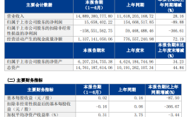 净利上半年软件(软件净利润上半年期内每日经济)