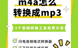 数据处理入门视音频视频(惊天闪电所示就用步骤)