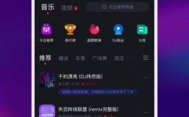 好用官方平台音乐APPVIP(好用音乐官方平台第三方)