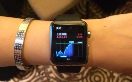 上手苹果股票watchOS(股票之家上手苹果视图)